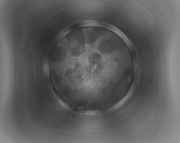 X0000112030857200908171449