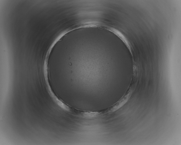 X0000112030859200908171449