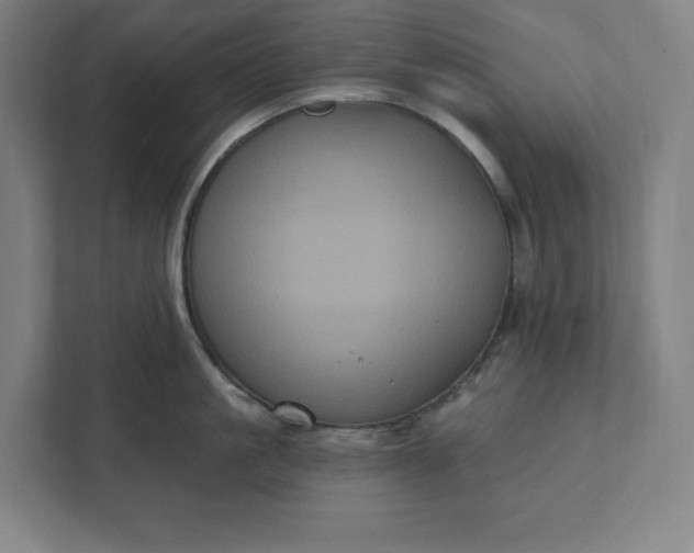 X0000112030861200908171449
