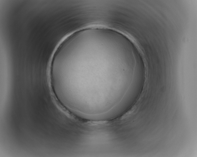 X0000112030864200908171449