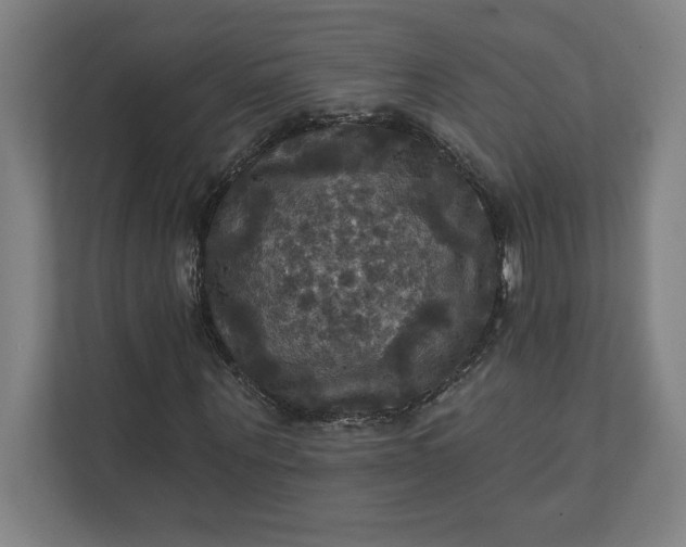 X0000112030867200908171449