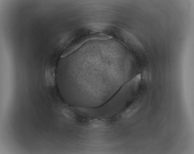 X0000112030868200908171449