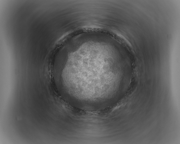 X0000112030870200908171449