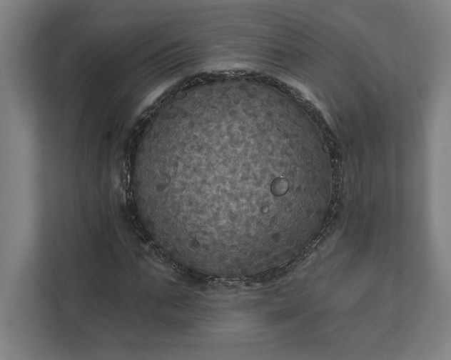 X0000112030871200908171449