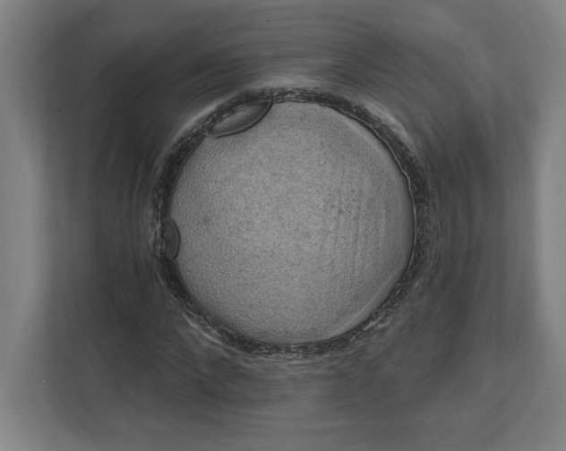 X0000112030872200908171449