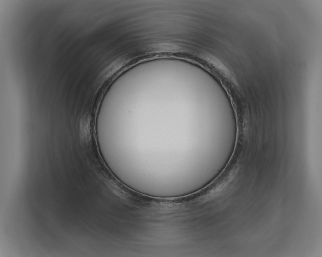 X0000112030873200908171449