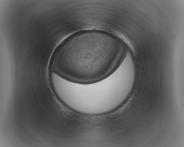 X0000112030876200908171449