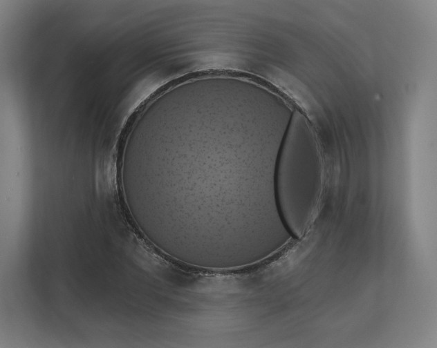 X0000112030877200908171449