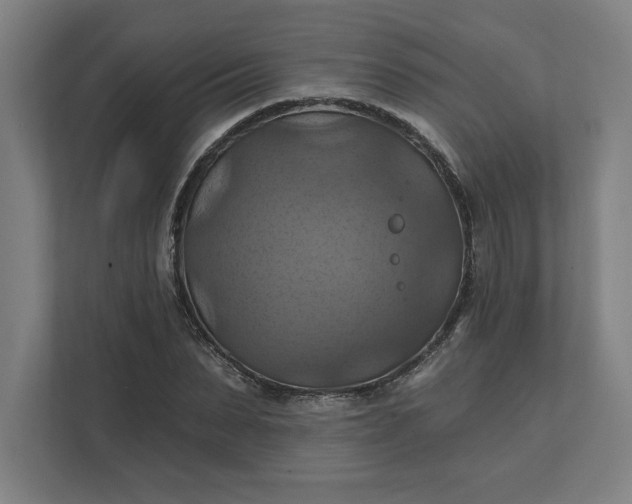 X0000112030879200908171449