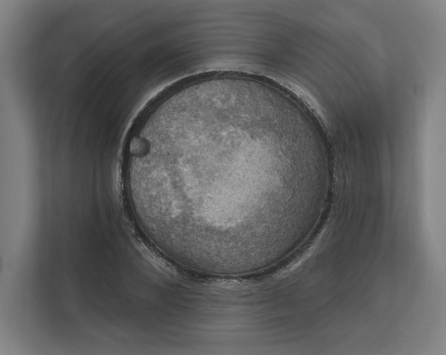 X0000112030880200908171449