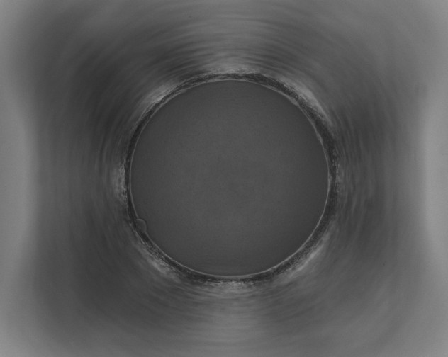 X0000112030881200908171449