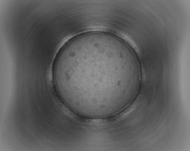 X0000112030883200908171449