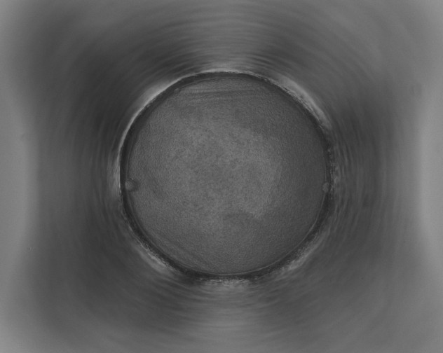 X0000112030884200908171449