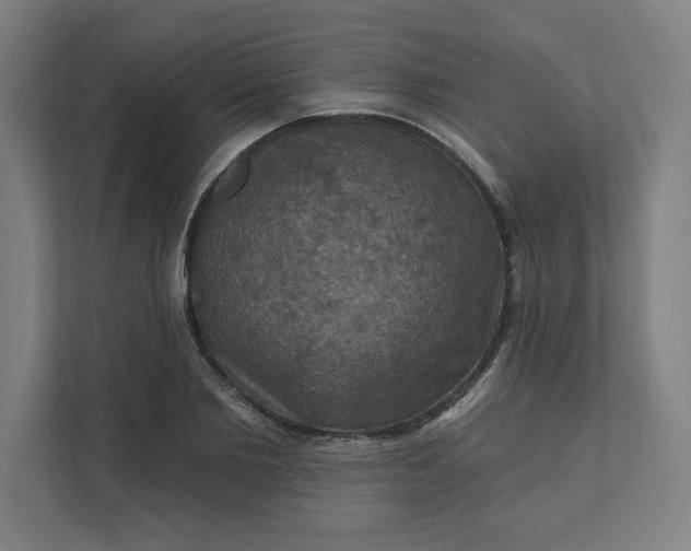 X0000112030885200908171449