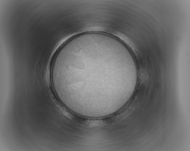 X0000112030886200908171449