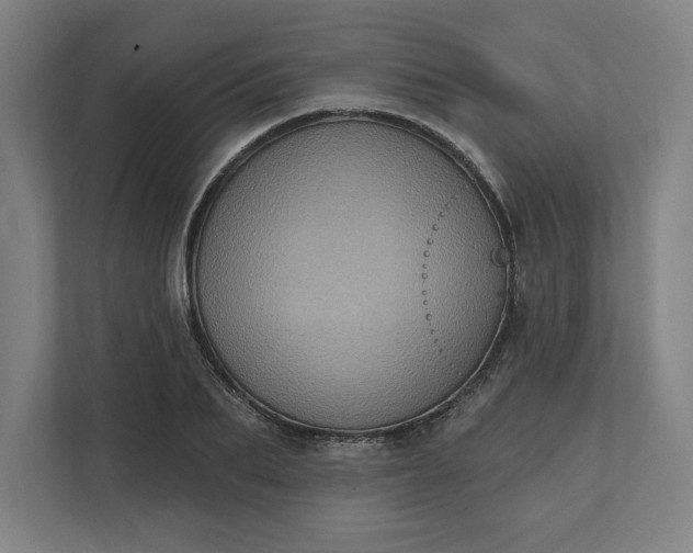 X0000112030887200908171449