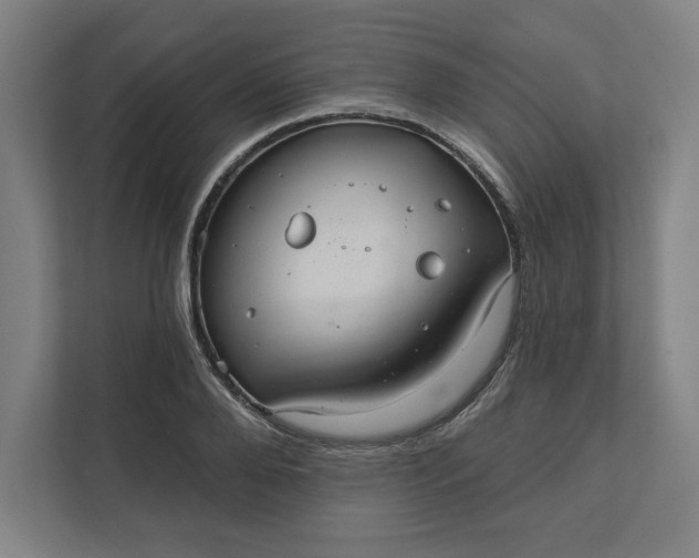 X0000112030888200908171449
