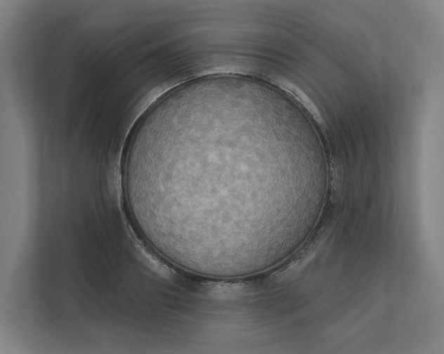 X0000112030890200908171449