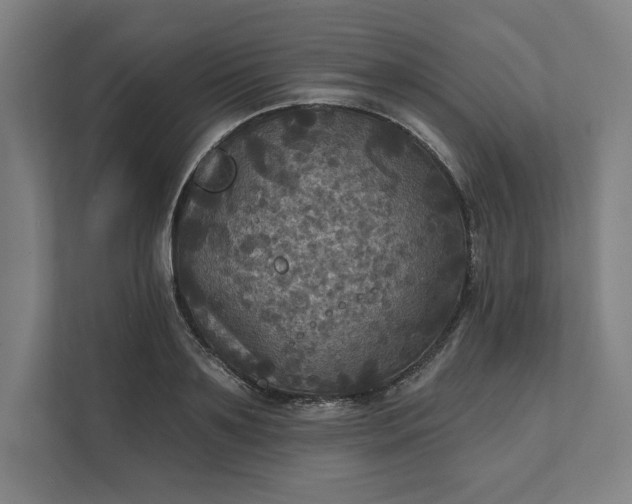 X0000112030891200908171449