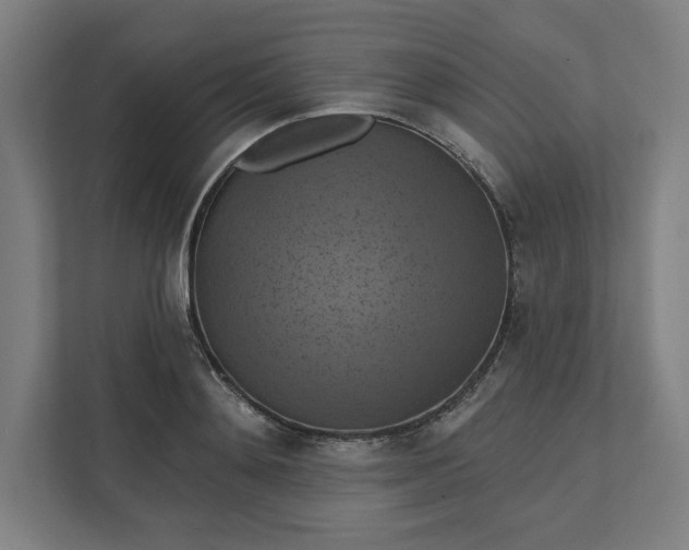 X0000112030892200908171449
