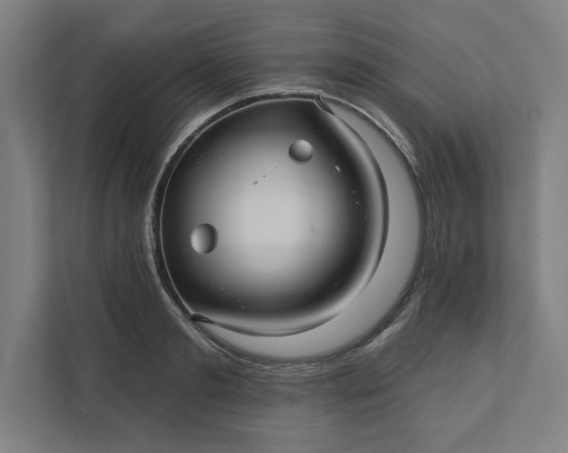 X0000112030893200908171448