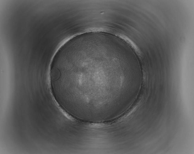 X0000112030894200908171448