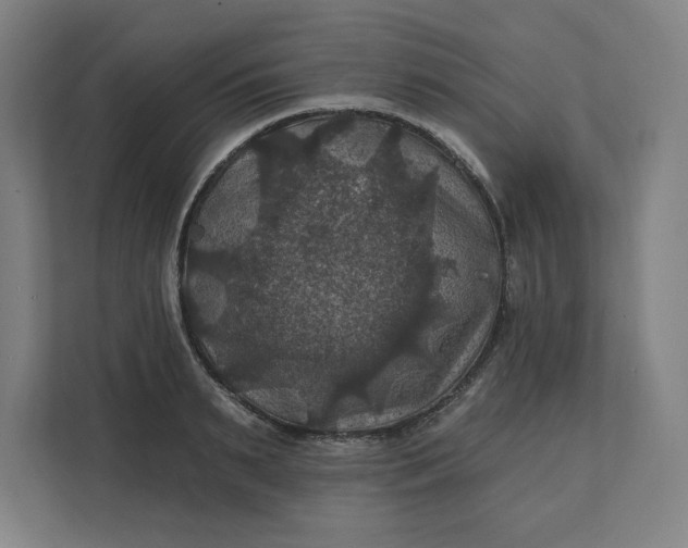 X0000112030895200908171448