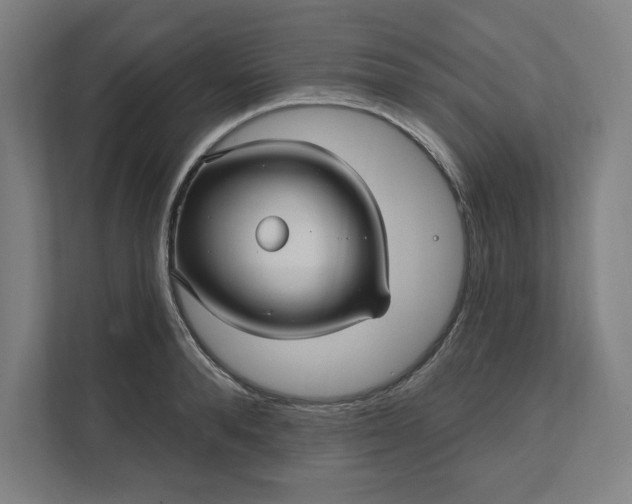 X0000112030896200908171448