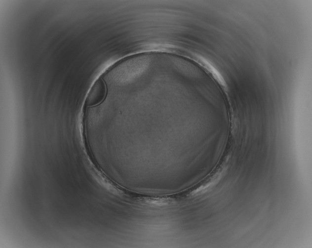 X0000112030899200908171448
