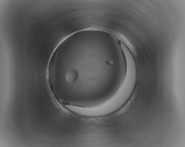 X0000112030900200908171448