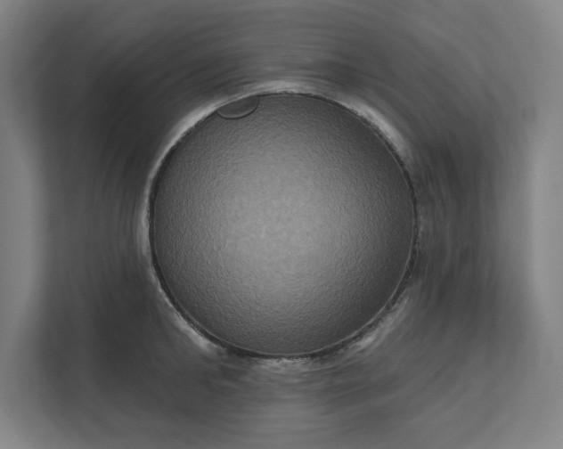 X0000112030902200908171448