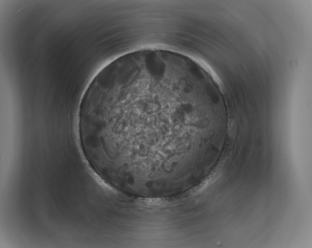 X0000112030903200908171448
