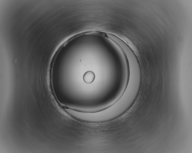 X0000112030904200908171448