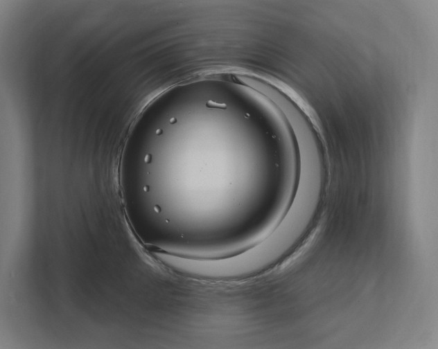 X0000112030905200908171448