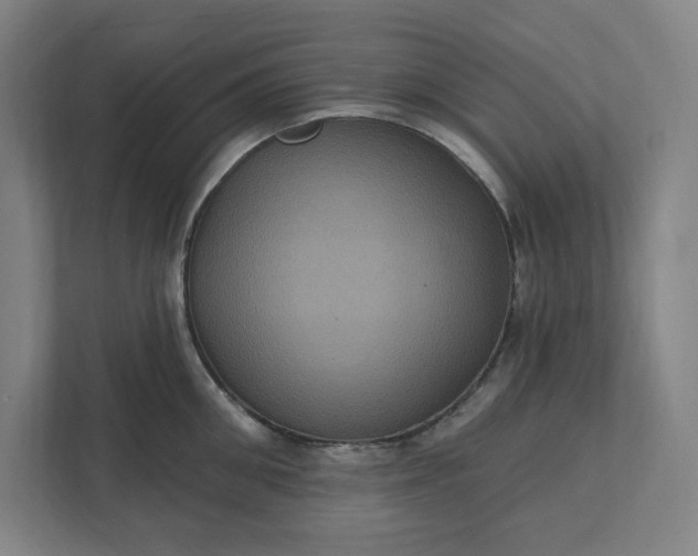 X0000112030906200908171448