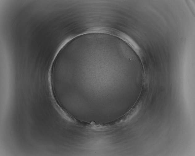 X0000112030907200908171448