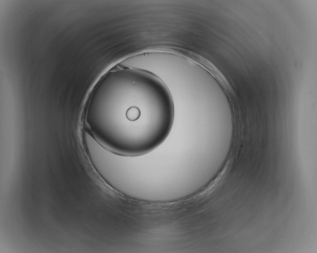 X0000112030908200908171448