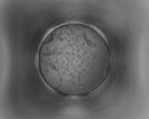 X0000112030911200908171448
