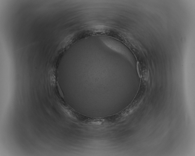 X0000112030916200908171448