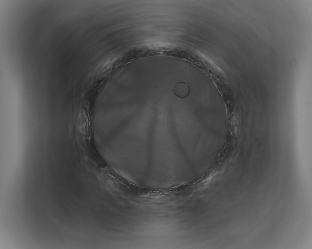 X0000112030917200908171448