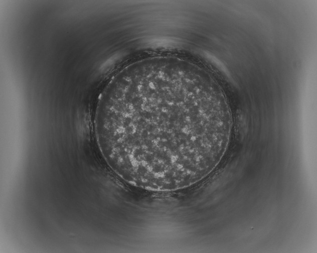 X0000112030918200908171448