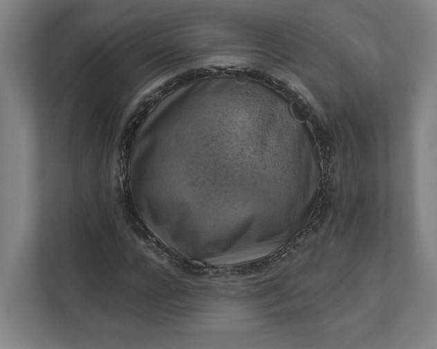 X0000112030920200908171448
