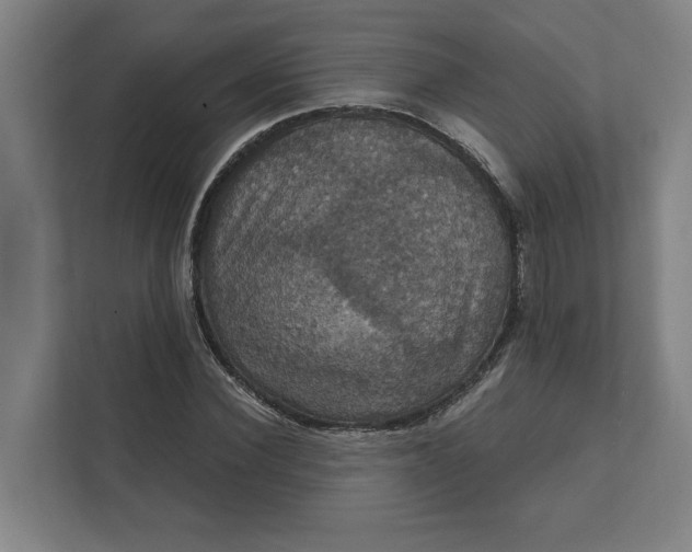 X0000112030924200908171448