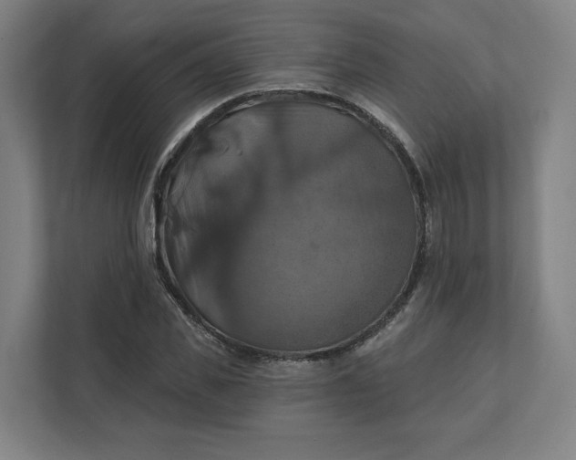 X0000112030925200908171448