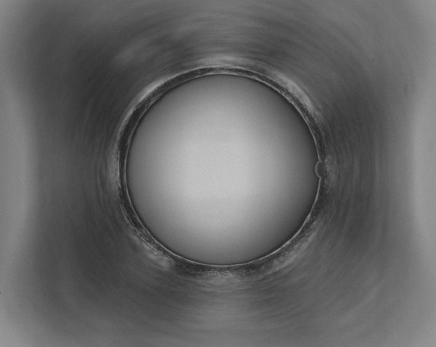 X0000112030931200908171448