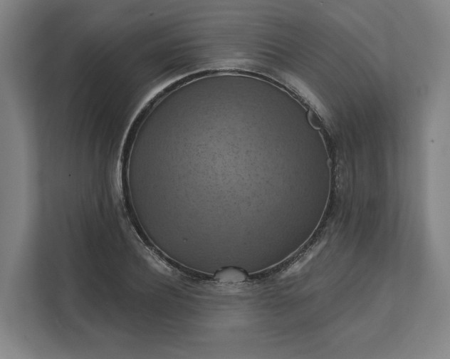 X0000112030932200908171448