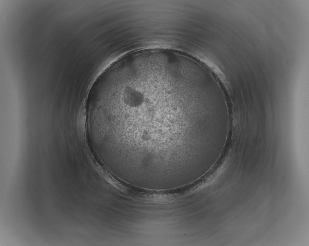 X0000112030933200908171448
