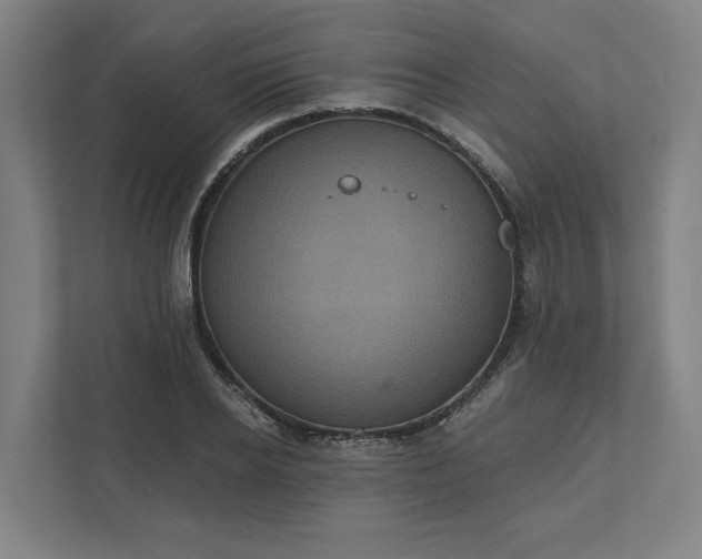 X0000112030934200908171448