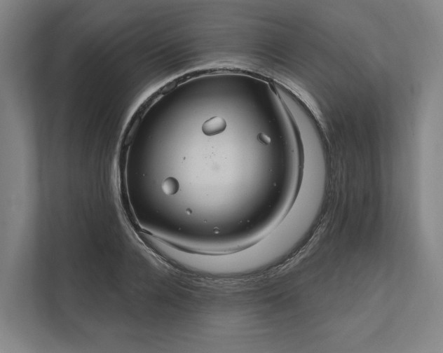 X0000112030936200908171448