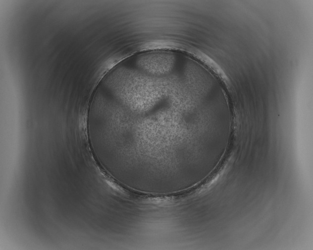 X0000112030937200908171448